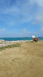 Scenic View of Eastern Bonaire Island - Lac Bay Beach