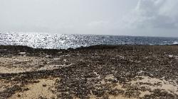 Scenic Views of Washinton Slagbaai National Park in Northwest Bonaire - A Beach Scenery