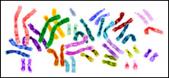 Human Genome Sequencing