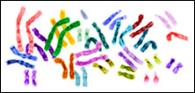 Human Genome Sequencing