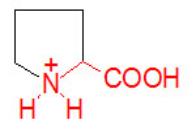 Medical Biochemistry