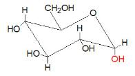 Medical Biochemistry