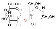 Molecular Structure of Sugar