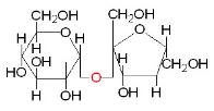 Medical Biochemistry