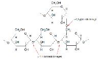 Medical Biochemistry