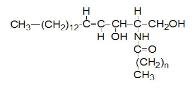 Medical Biochemistry
