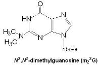 Medical Biochemistry