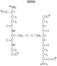 Medical Biochemistry