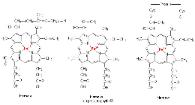 Medical Biochemistry