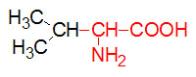 Medical Biochemistry