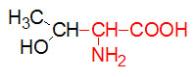 Medical Biochemistry