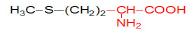 Medical Biochemistry