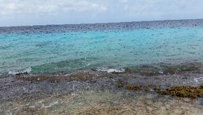 1000 Steps Beach for recreational diving & shore snorkeling in Bonaire Island located in Caribbean Netherlands, European Union (EU)