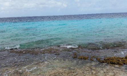 1000 Steps Beach for recreational diving & shore snorkeling in Bonaire Island located in Caribbean Netherlands, European Union (EU)