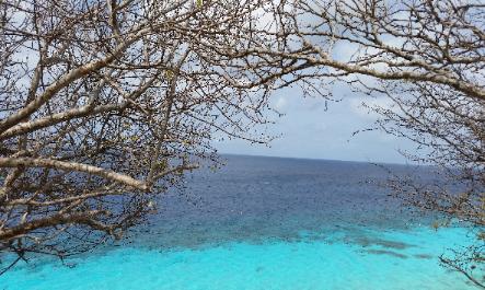 1000 Steps for recreational diving & shore snorkelling in Bonaire Island located in Caribbean Netherlands, The Netherlands, European Union (EU)