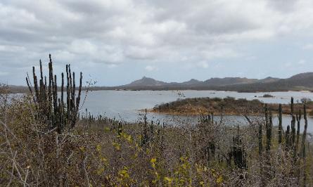 Goto Lake Reserve in Bonaire Island located in Caribbean Netherlands, The Netherlands, European Union (EU)