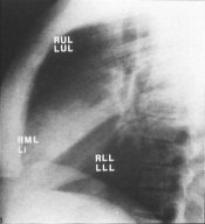 PhysicalDiagnosis